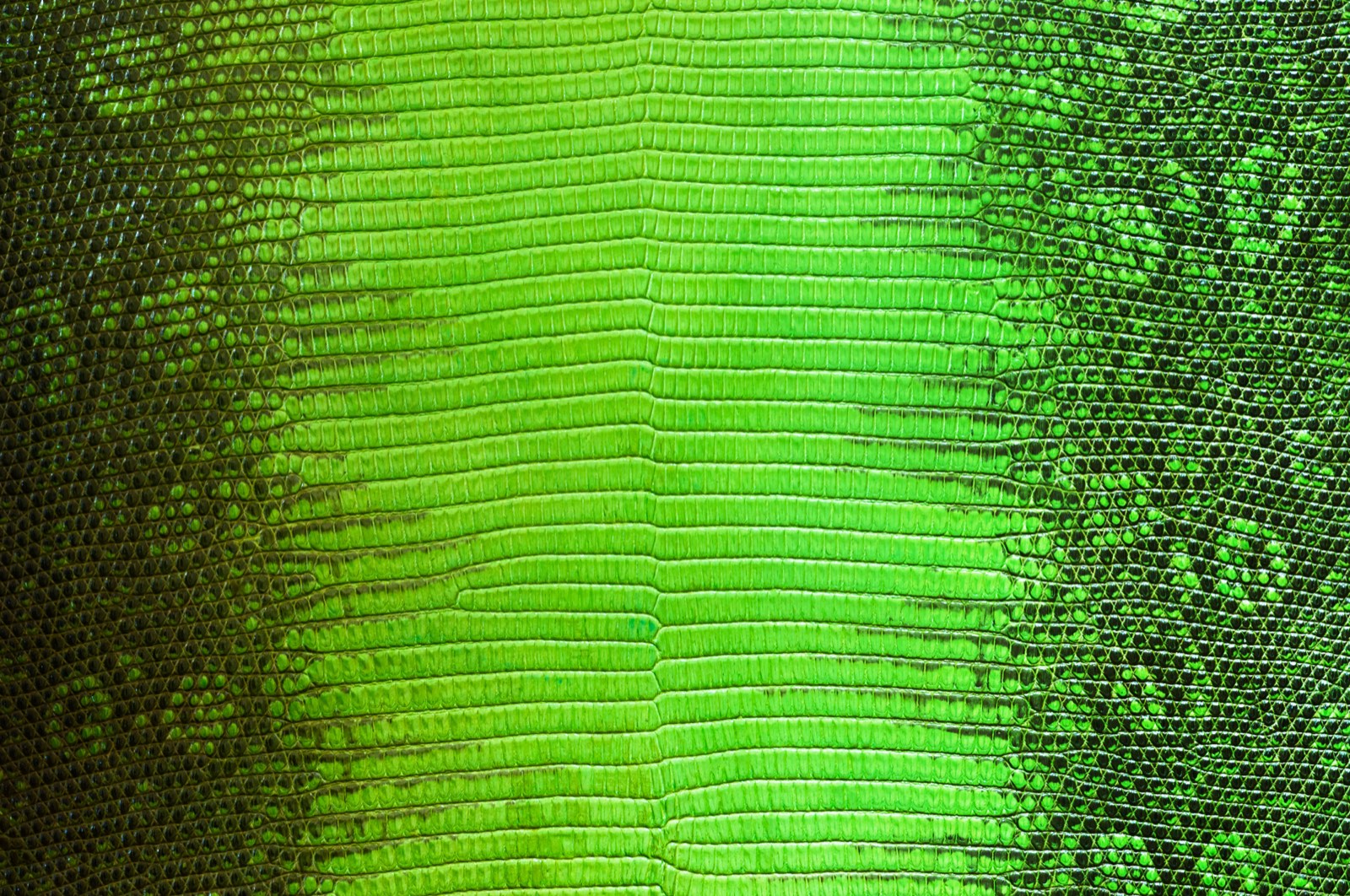 Achmad Leather craftsmanship